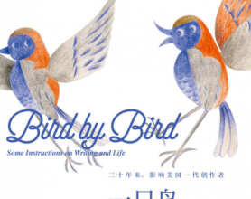 一只鸟接着一只鸟：关于写作与人生的建议「pdf-epub-mobi-txt-azw3」