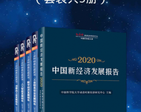 2020信息化蓝皮书合集「pdf-epub-mobi-txt-azw3」