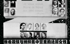 冬日列车：维希政权与纳粹集中营里的法国女性「pdf-epub-mobi-txt-azw3」