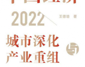 中国经济2022:城市深化与产业重组「pdf-epub-mobi-txt-azw3」