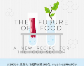 未来食物：明天我们吃什么「pdf-epub-mobi-txt-azw3」
