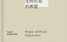 无所乐观的希望pdf,epub,mobi,txt