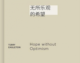 无所乐观的希望pdf,epub,mobi,txt
