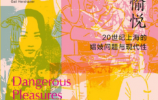 危险的愉悦：20世纪上海的娼妓问题与现代性pdf,epub,mobi,txt