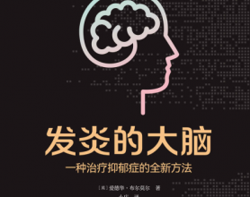 发炎的大脑：一种治疗抑郁症的全新方法pdf,epub,mobi,txt